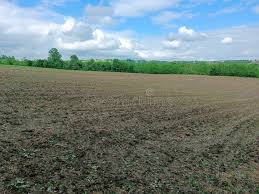 Buy Farm Land in Jaipur Rajasthan | Jaipur Plots-Others-Jaipur